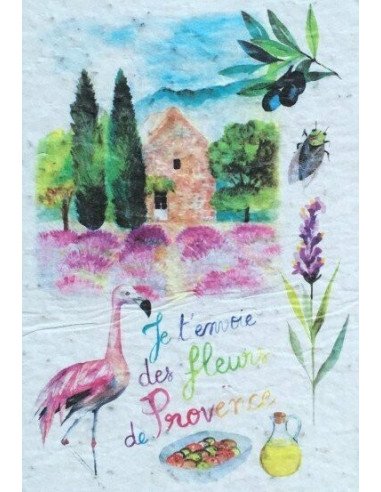 Carte à planter « Provence »